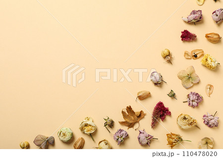 Dried flower buds on beige background, space for text 110478020