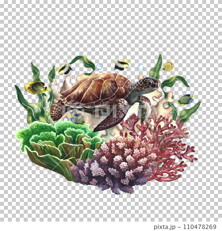 Sea turtle on a background of corals. Underwater world with colorful coral fish. Watercolor painted by hand. For business cards and banners, flyers and brochures. For prints, stickers, postcards. 110478269
