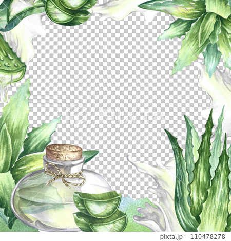 The frame is made of aloe vera. Crushed pieces and aloe vera gel. Hand painted with watercolors. For labels and packaging of cosmetics, perfumes and medicines. For stickers, prints and posters. 110478278