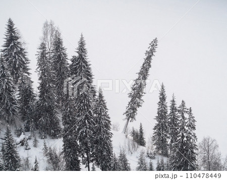 Fir trees covered with hoarfrost and snow in winter mountains - Christmas snowy background. Copy space. 110478449