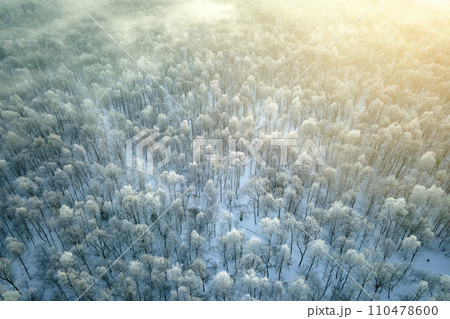 Aerial view of snow covered white forest with frozen trees in cold winter. Dense wild woodland in wintertime Aerial view of snow covered white forest with frozen trees in cold winter. Dense wild woodland in wintertime 110478600