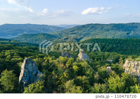 Aerial view of bright landscape with green forest trees and big rocky boulders between dense woods in summer. Beautiful scenery of wild woodland. 110478720