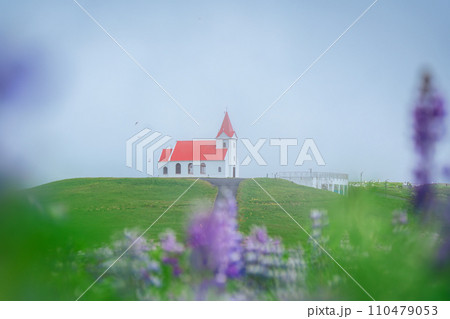 Holy Ingjaldsholskirkja church on hill with lupine flower blooming in foggy on summer at Iceland Holy Ingjaldsholskirkja church on hill with lupine flower blooming in foggy on summer at Iceland 110479053