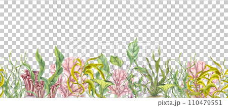 Horizontal seamless banner with undersea plants, corals. Green, yellow kelps, colored polyps. Lagoon underwater world. Marine fauna. Watercolor illustration. Aquarium design, print, card Horizontal seamless banner with undersea plants, corals. Green, yellow kelps, colored polyps. Lagoon underwater world. Marine fauna. Watercolor illustration. Aquarium design, print, card 110479551