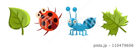 Funny Insect Small Crawling Animal Vector Set Funny Insect Small Crawling Animal Vector Set 110479606