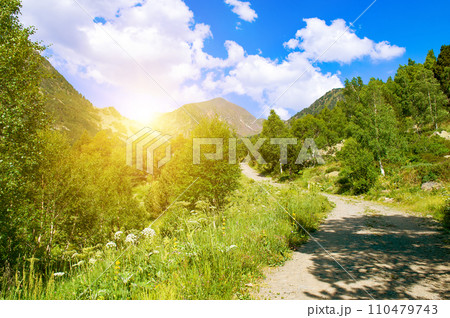 Pyrenees mountains in Andorra, forest,Bright sun and hiking trail. Pyrenees mountains in Andorra, forest,Bright sun and hiking trail. 110479743
