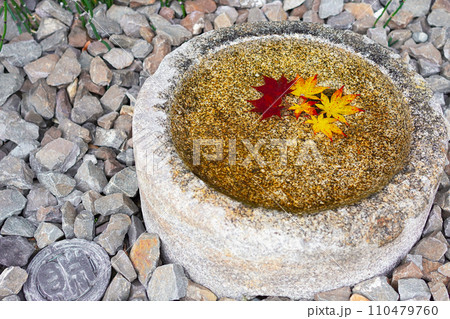 日本庭園のつくばいとモミジ 日本庭園のつくばいとモミジ 110479760