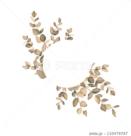 Watercolor circle frame with brown and beige eucalyptus leaves branches. Illustration Eucalyptus in bouquet for wedding. Decorative element for greeting card. Floral wreath 110479787