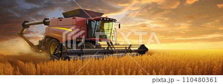 Combine harvester in a soybean field harvesting soybeans at sunset, banner Combine harvester in a soybean field harvesting soybeans at sunset, banner 110480361
