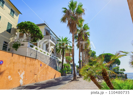 Alley in Bogliasco Alley in Bogliasco 110480735