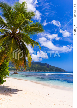 Coastal landscape with palm tree and white sand under cloudy sky on a sunny day. Vertical photo 110481244