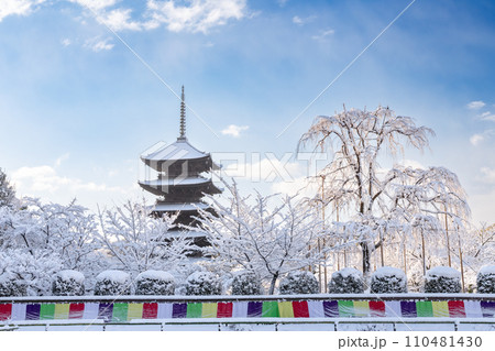冬の東寺 110481430