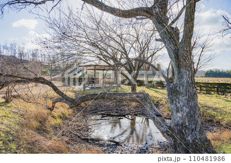 福島 鏡石町の影沼 福島 鏡石町の影沼 110481986