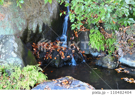 水辺の冬景色 荒川運動公園通り沿い さいたま市 水辺の冬景色 荒川運動公園通り沿い さいたま市 110482404