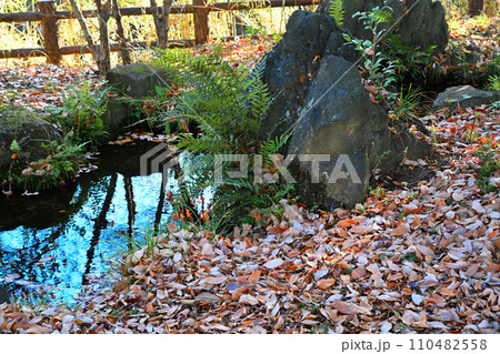 水辺の冬景色 荒川運動公園通り沿い さいたま市 水辺の冬景色 荒川運動公園通り沿い さいたま市 110482558