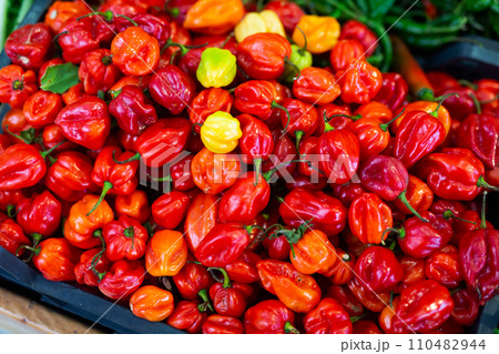 Photo shows garden stuff shop window with display of red chilli pepper. 110482944