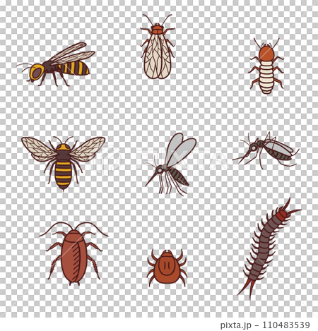 逼真的害蟲插圖集，如蜜蜂、蟑螂、蟎蟲等。 110483539