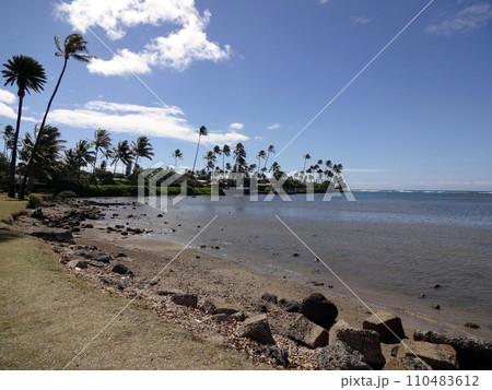 Calm Shoreline at Wailupe Beach Park 110483612