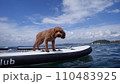 SUP犬 110483925