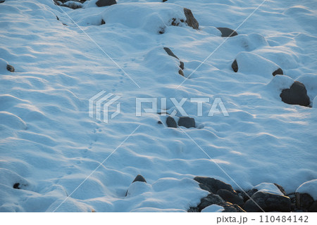 【松川の河原】朝日を浴びる雪面【北安曇郡白馬村】 110484142