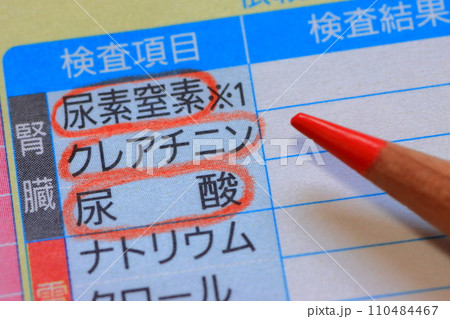 血液検査報告書(腎臓の指標) 血液検査報告書(腎臓の指標) 110484467