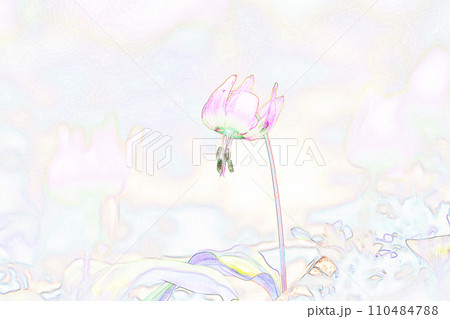パステル調　”カタクリの花　“山野草” ”　イラストイメージ 110484788