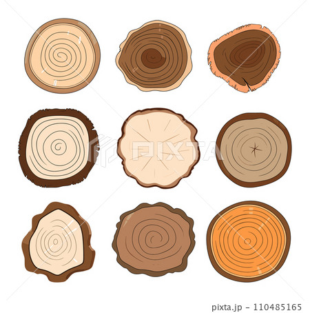 Collection of tree rings, top view, different shapes and patterns. Set of cross section tree trunks, natural elements vector illustration. Collection of tree rings, top view, different shapes and patterns. Set of cross section tree trunks, natural elements vector illustration. 110485165