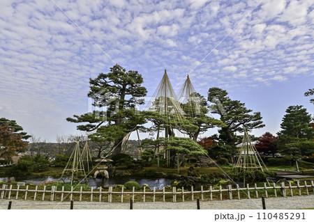 晩秋の紅葉が美しい兼六園 110485291