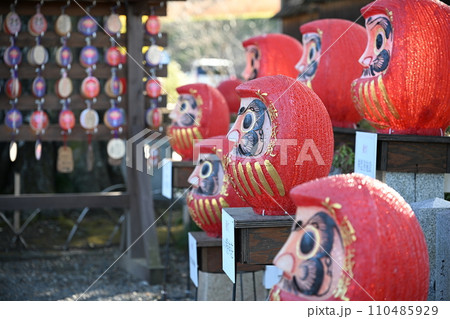 群馬・高崎 少林山 達磨寺の境内 群馬・高崎 少林山 達磨寺の境内 110485929