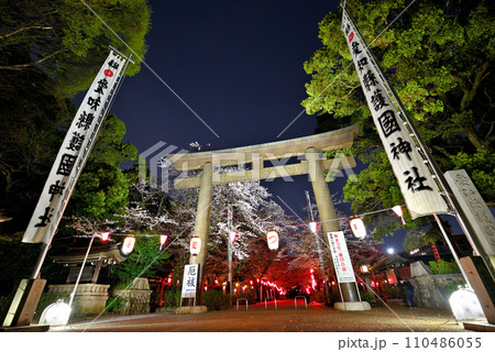 《愛知県》名古屋市 愛知県護国神社のライトアップされた夜桜 《愛知県》名古屋市 愛知県護国神社のライトアップされた夜桜 110486055
