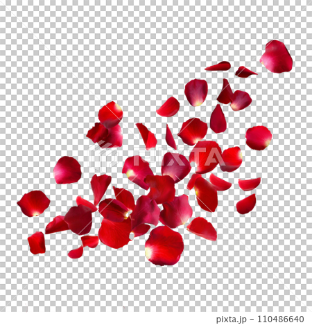 Red rose petals 110486640