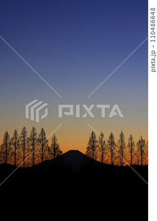 メタセコイア並木越しの夕暮れの富士山 110486648