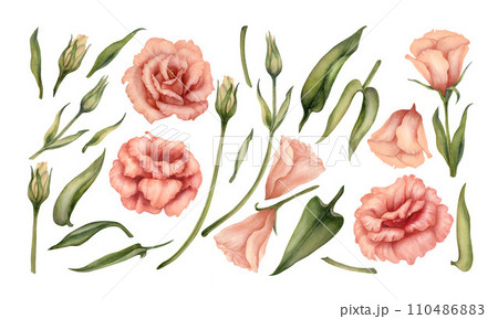 Watercolor pink bouquet with eustoma flowers, leaves and buds in a trendy peach fuzz color for Valentine's Day, horoscope, alchemy, magic, Halloween, health amulet, card, label, postcard, stickers Watercolor pink bouquet with eustoma flowers, leaves and buds in a trendy peach fuzz color for Valentine's Day, horoscope, alchemy, magic, Halloween, health amulet, card, label, postcard, stickers 110486883