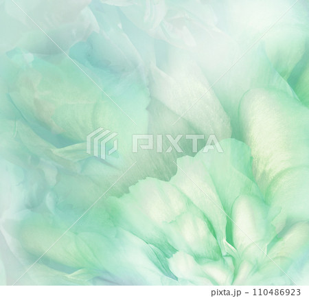 Floral  background. Macro. Rose petals.  Nature. 110486923