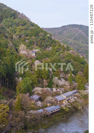 早朝 嵐山公園展望台から望む保津川と春の嵐山 早朝 嵐山公園展望台から望む保津川と春の嵐山 110487226
