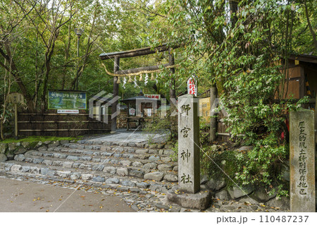 京都　嵯峨野　野宮神社 110487237