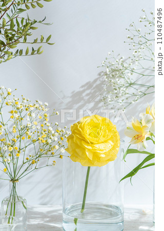 黄色い春の花 110487496