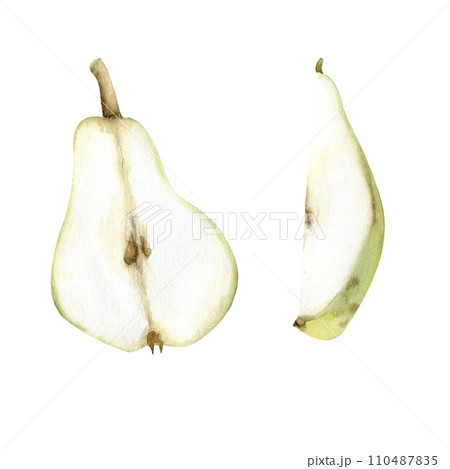 Watercolor hand drawn green pear.Half pear with stones and pear slice clip art for label, logo, product design. Fresh food illustration clip art 110487835