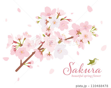 桜の木 イラスト素材 桜の木 イラスト素材 110488478