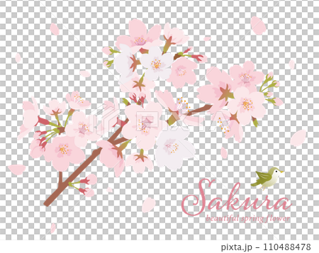 桜の木 イラスト素材 桜の木 イラスト素材 110488478