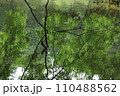 泉自然公園　千葉市若葉区　水面　映り込み 110488562
