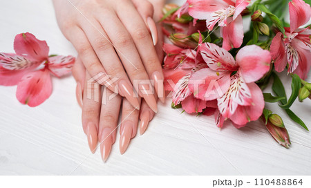 Elegant pastel pink natural manicure. 110488864