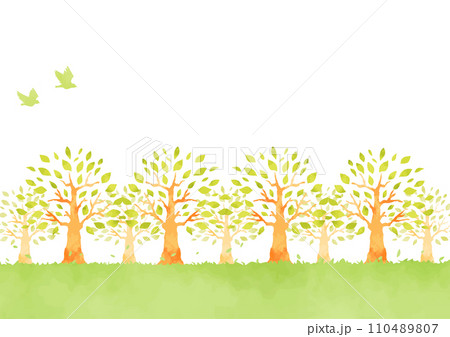 爽やかな森林の背景イラスト 110489807