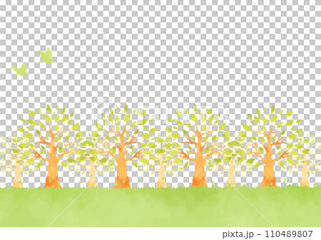 爽やかな森林の背景イラスト 110489807