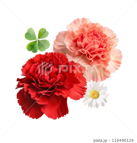 母の日のカーネーションのアレンジメント(AI生成画像) 母の日のカーネーションのアレンジメント(AI生成画像) 110490129