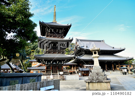 水間寺(三重塔・本堂)　【大阪府貝塚市】 110490182
