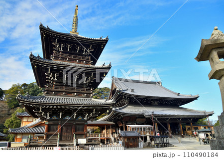 水間寺(三重塔・本堂)　【大阪府貝塚市】 110490184
