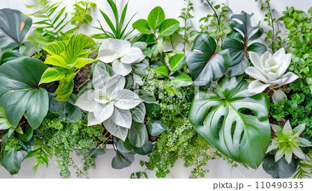 観葉植物の背景画像 AI画像 AI生成画像 110490335