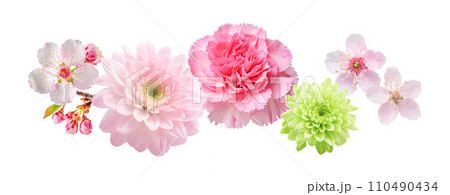 春のピンクの花のアレンジメント（AI生成画像） 110490434