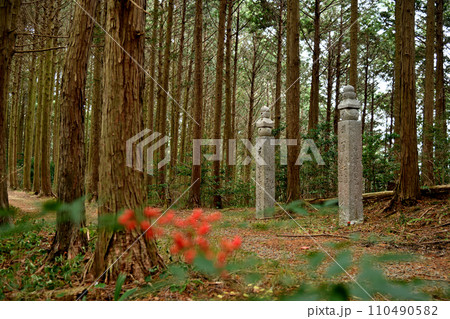 高野山町石道の百四十四町石(左)と一里石(右) 高野山町石道の百四十四町石(左)と一里石(右) 110490582